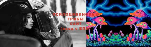 СК Володарск