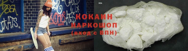 молекула духа Бронницы