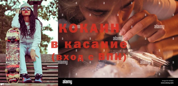 винт Бородино