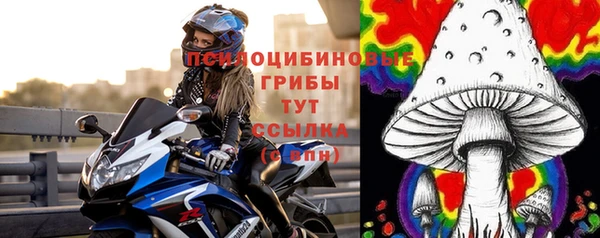 молекула духа Бронницы