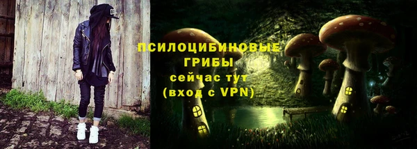 молекула духа Бронницы