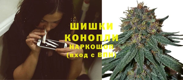 СК Володарск