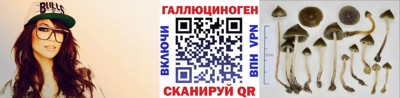 продажа наркотиков  Среднеуральск  Галлюциногенные грибы Psilocybine cubensis 